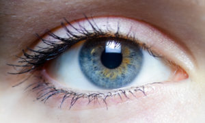 Iris_-_left_eye_of_a_girl-300x180